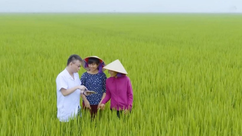 Thay đổi kỹ thuật canh tác - Kiến tạo giá trị xanh | Chuyển đổi xanh | 13/06/2026