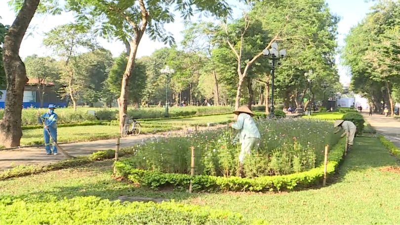 Những người thầm lặng giữ màu xanh cho thành phố