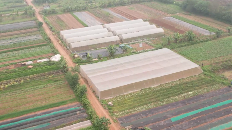 Nông dân chung tay xây dựng nông thôn xanh | Nông nghiệp nông thôn | 16/07/2026