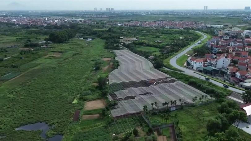 Xanh hóa đất nông nghiệp bỏ hoang - khơi nguồn sinh kế | Chuyển đổi xanh | 11/07/2026