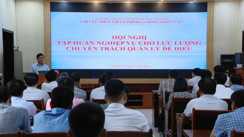 Nâng cao nghiệp vụ xử lý vi phạm trong lĩnh vực đê điều