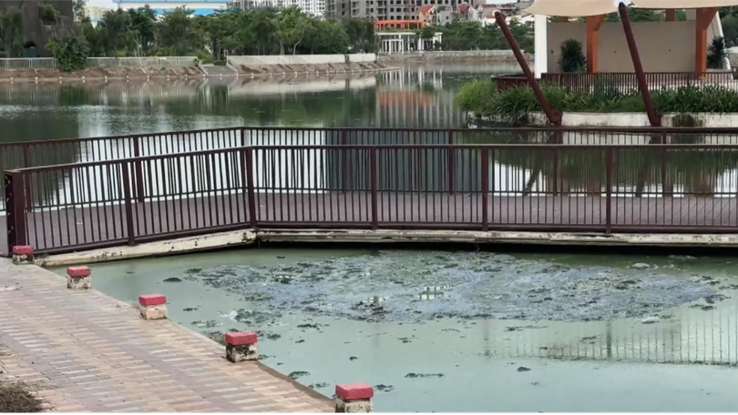 Ô nhiễm mặt hồ công viên Ngọc Thụy