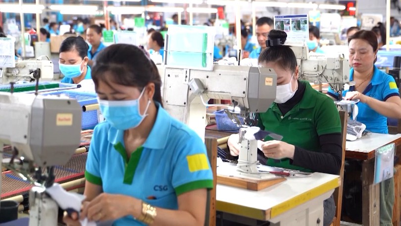 Trốn đóng bảo hiểm xã hội bắt buộc bị phạt tới 75 triệu đồng