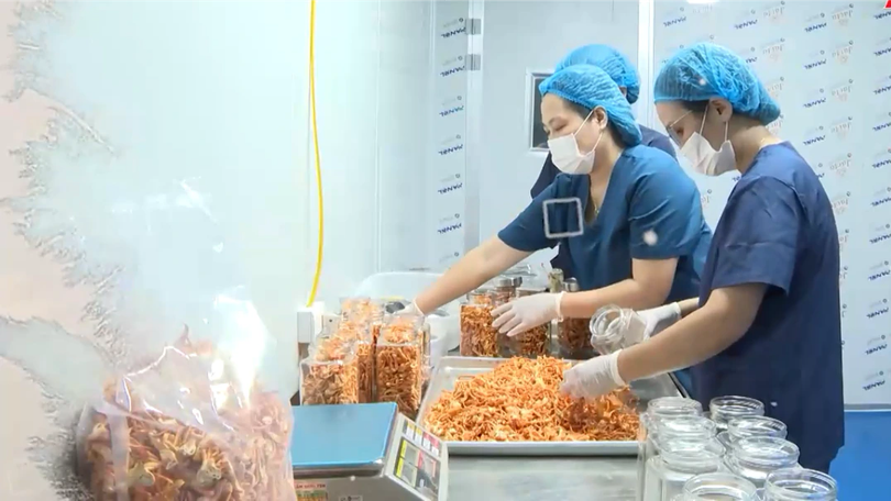 Đổi mới tạo động lực cho sản phẩm nông sản 'cất cánh' | Nông nghiệp và Môi trường | 19/07/2026