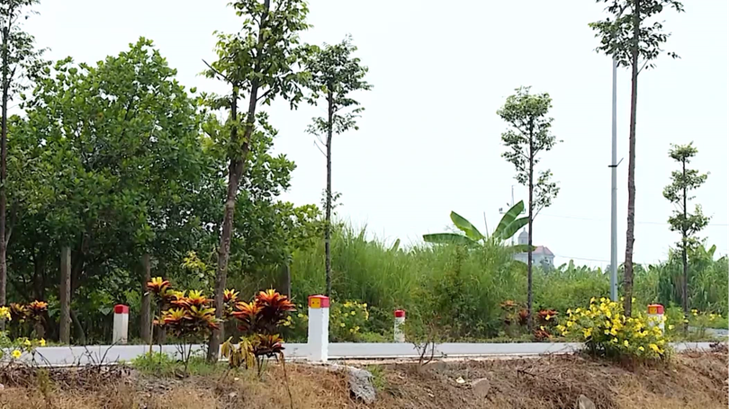 Tuyến đường 'Ba nhất' rực rỡ sắc hoa