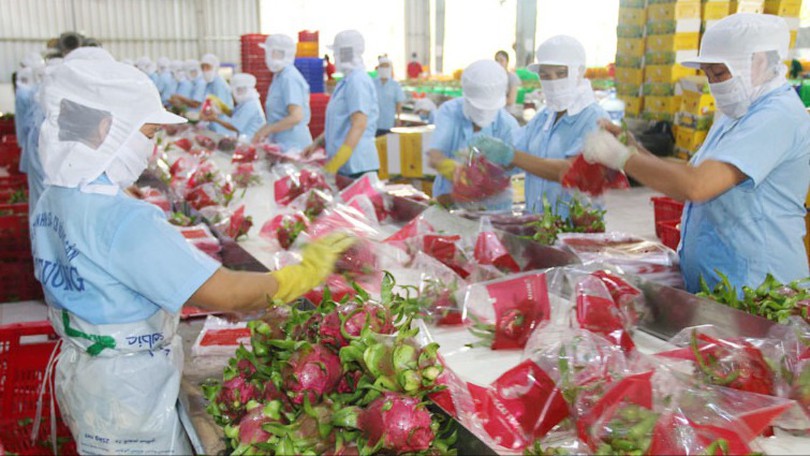 Chỉ dẫn địa lý mở rộng cánh cửa xuất khẩu cho nông sản Việt Nam