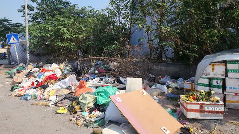 Đổ rác sai giờ, sai quy định, gây ô nhiễm môi trường
