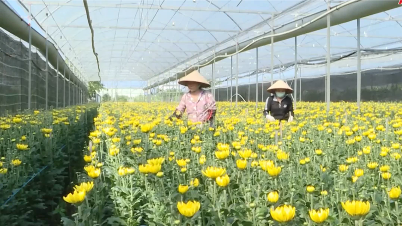 Chuyển đổi xanh trong sản xuất nông nghiệp | Nông nghiệp và Môi trường | 26/07/2026