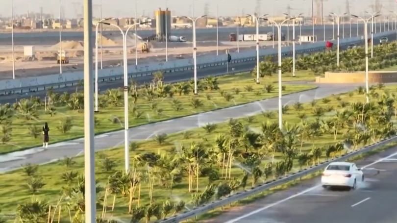 Iraq xây dựng vành đai xanh bằng giống cỏ Hà Lan