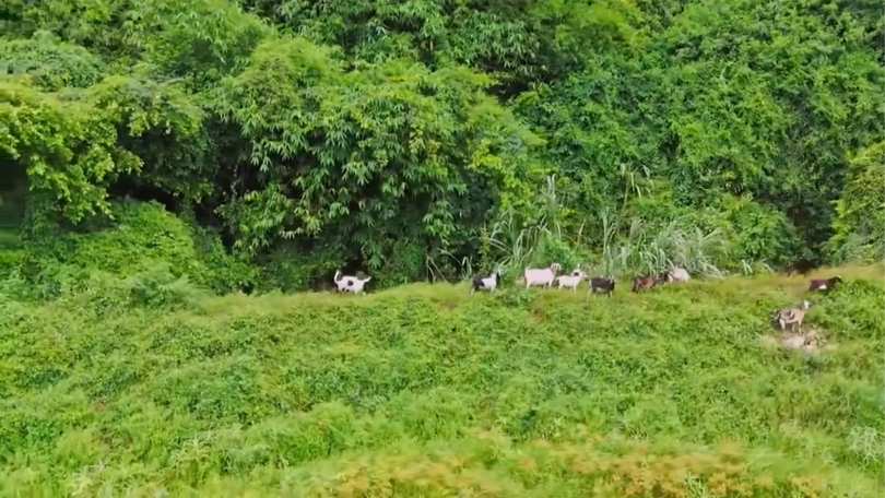 Chạm vào bình yên nơi bản Mường Cốc