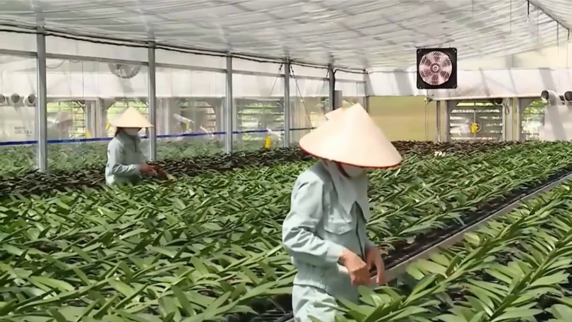 Hà Nội thúc đẩy chuyển đổi xanh, nông nghiệp đa giá trị
