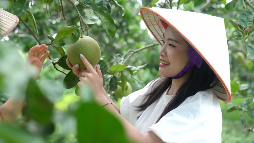 Nông nghiệp đa giá trị - Động lực bứt phá bền vững