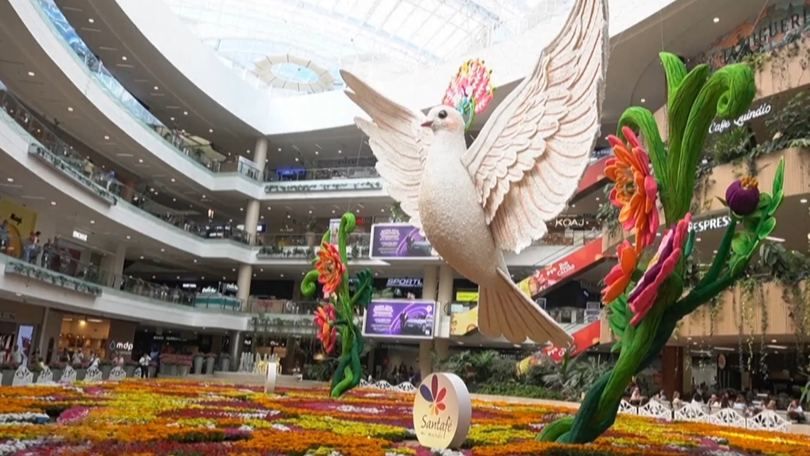 Triển lãm thảm hoa Medellin, Colombia