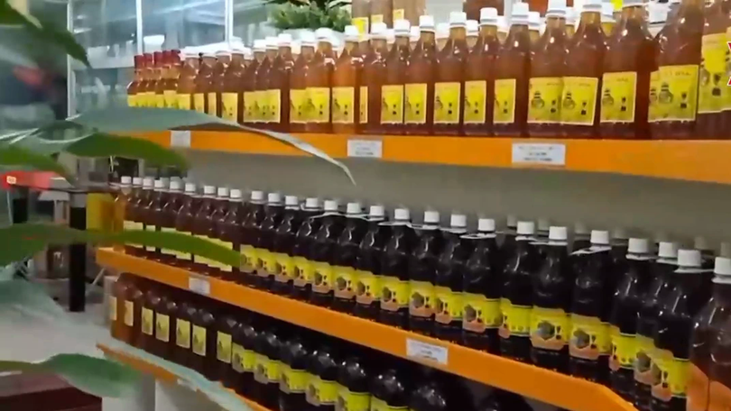 Kết nối đầu tư thúc đẩy phát triển kinh tế xanh | Phóng sự | 09/08/2026