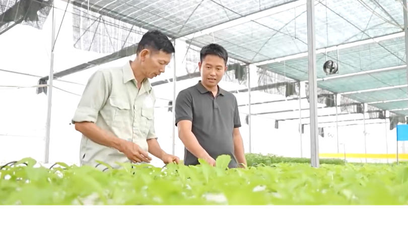 Khát vọng xanh trên đồng quê đổi mới | Người tốt quanh ta | 10/08/2026