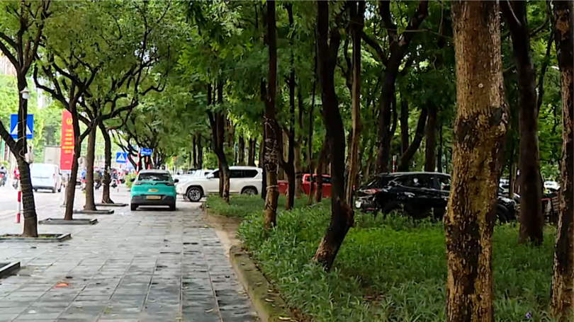 Vỉa hè mới cải tạo bị chiếm dụng tại Hà Nội