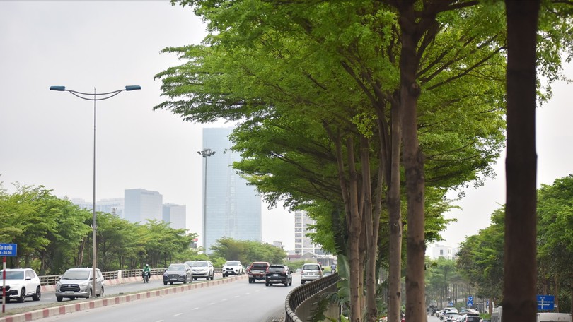 Thời tiết Hà Nội dịu mát