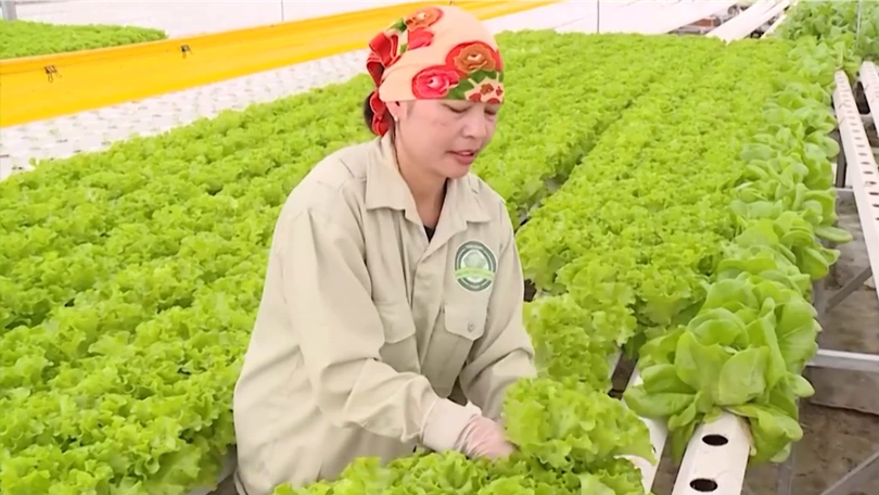 Công nghệ cao - từ hiệu quả đến sản xuất xanh | Sản xuất xanh - Năng lượng sạch | 15/08/2026
