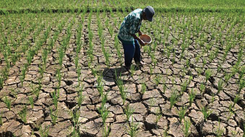 Hiện tượng El Nino đe dọa kỷ lục nhiệt độ toàn cầu