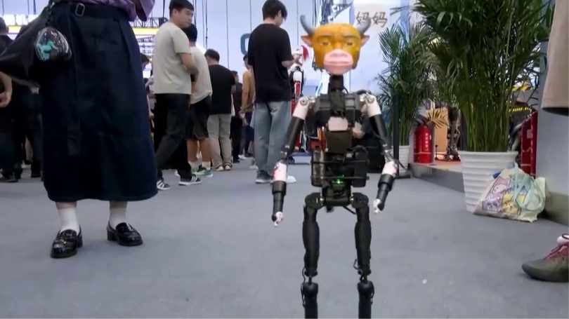 Trung Quốc: Chú bê Ngưu Lai gây sốt được 'robot hóa'