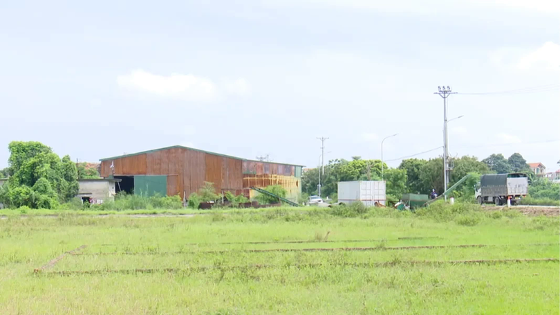 Đề xuất đánh thuế đất bỏ hoang, hạn chế đầu cơ đất nền