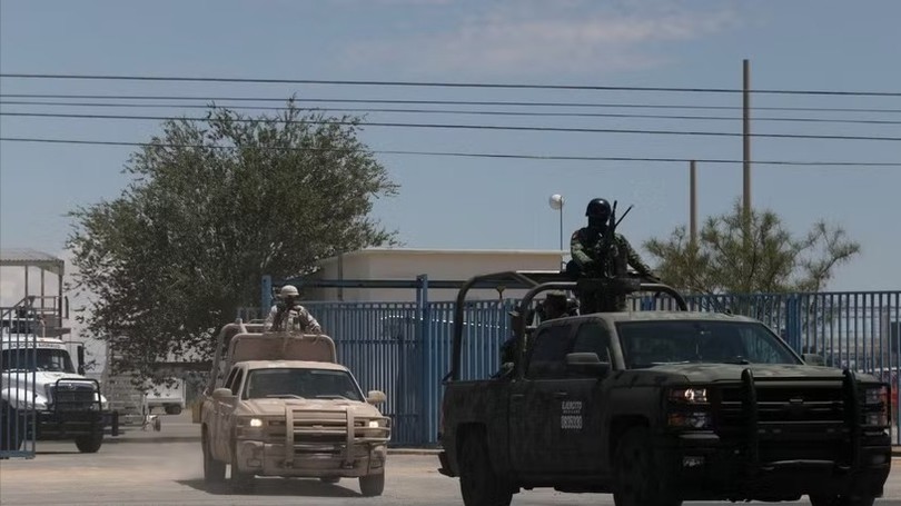 Mexico triển khai quân đội bảo vệ hoạt động xuất khẩu bơ
