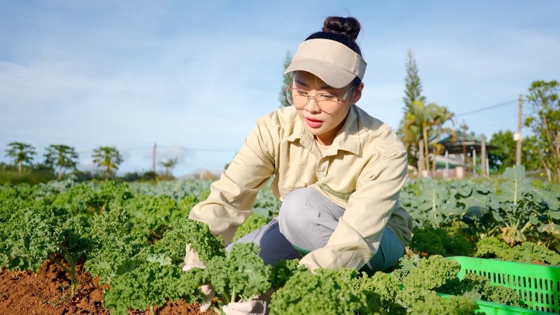 Tháo gỡ khó khăn cho nông nghiệp hữu cơ