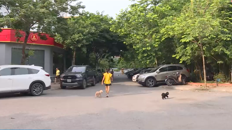 Đỗ xe tràn lan quanh hồ Trung Văn