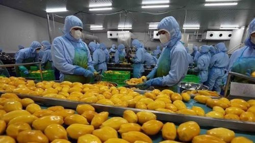 Xuất siêu nông lâm thủy sản đạt hơn 14 tỷ USD