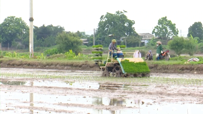 Khi nông dân làm chủ công nghệ | Nông nghiệp nông thôn | 27/08/2026