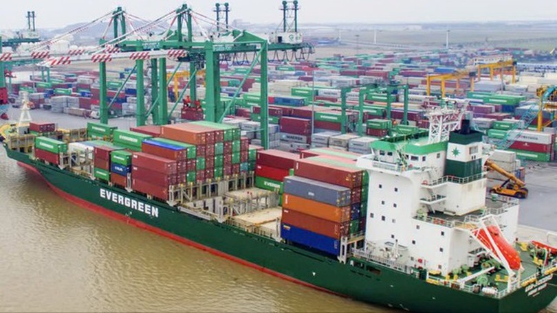 Viconship dự kiến vay 2.200 tỷ đồng từ các công ty con