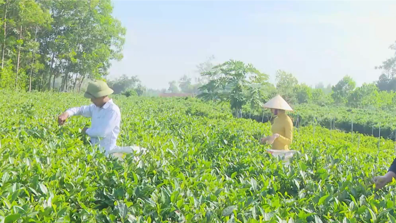 Thay đổi tư duy để làm nông nghiệp xanh | Chuyển đổi xanh | 19/09/2026