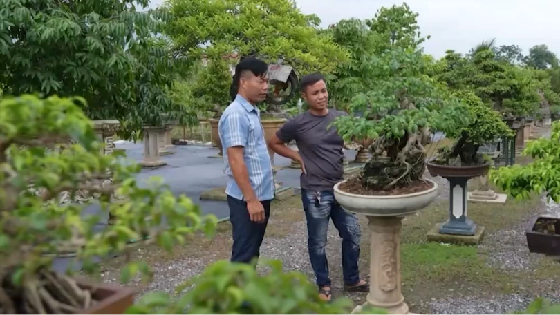 Nông nghiệp Hà Nội trong dòng chảy chuyển đổi số | Nông nghiệp và Môi trường | 20/09/2026