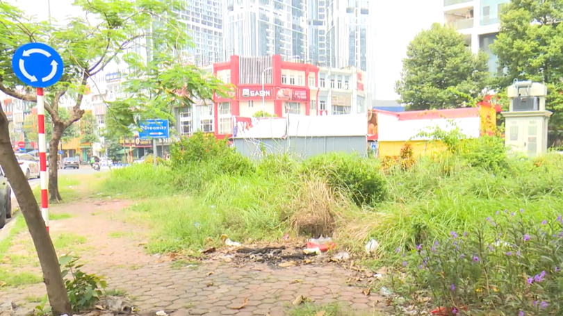Vườn hoa bị bỏ quên giữa lòng đô thị