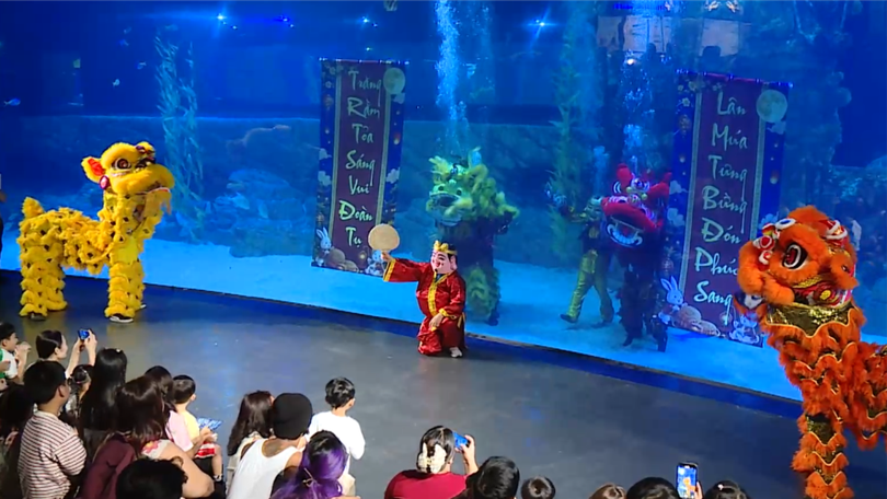 Trung Thu độc đáo dưới lòng đại dương xanh thẳm