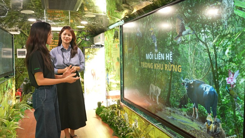 Khám phá thiên nhiên qua xe buýt lưu động