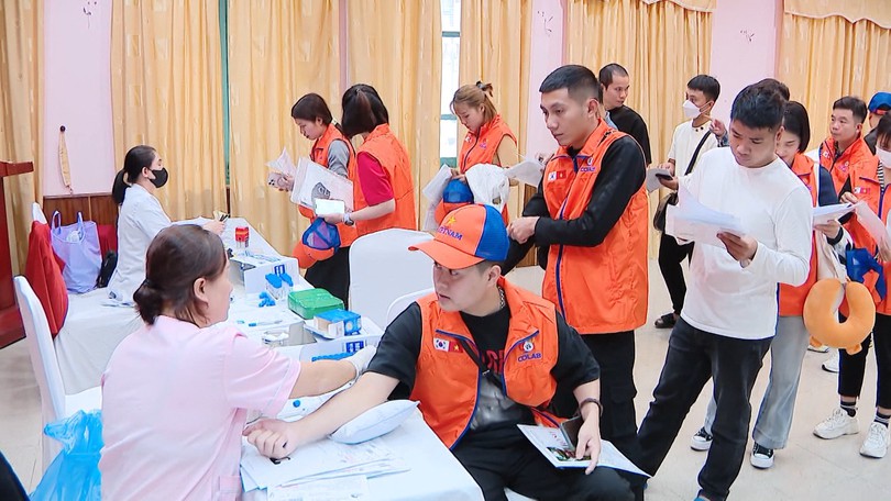 Người Việt đi làm việc ở nước ngoài ngày càng trẻ