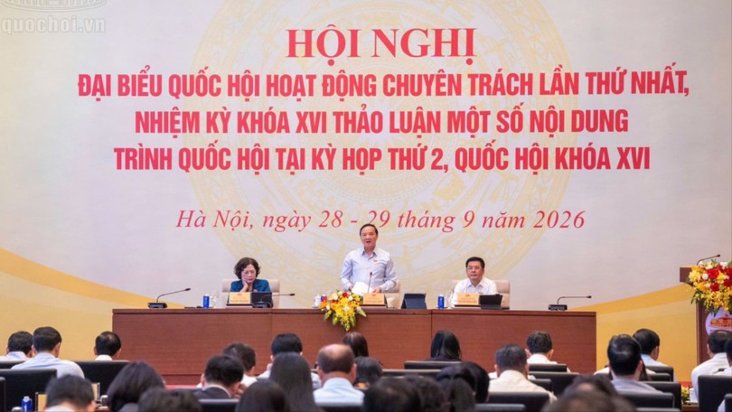 Cân nhắc khi áp dụng các biện pháp xử lý vi phạm hành chính