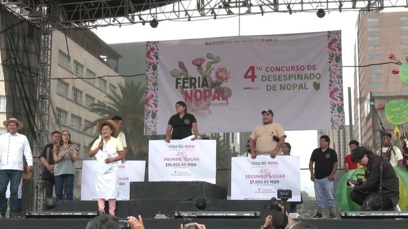 Thử tài tách gai xương rồng ở Mexico