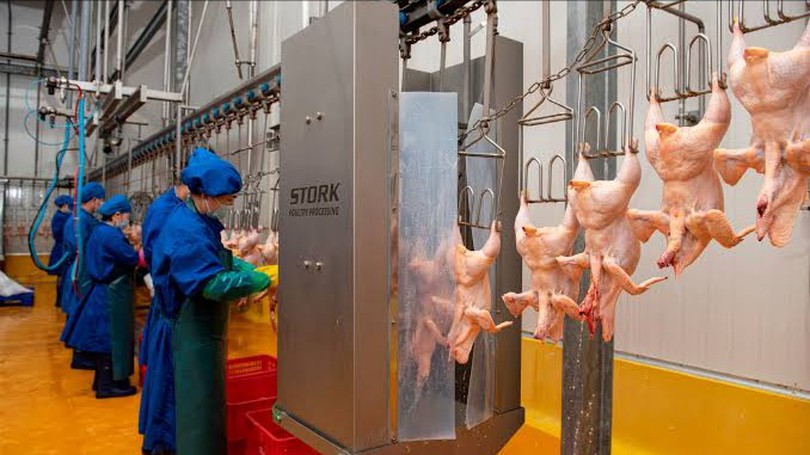 Cơ sở giết mổ tập trung, quản lý an toàn thực phẩm theo chuỗi