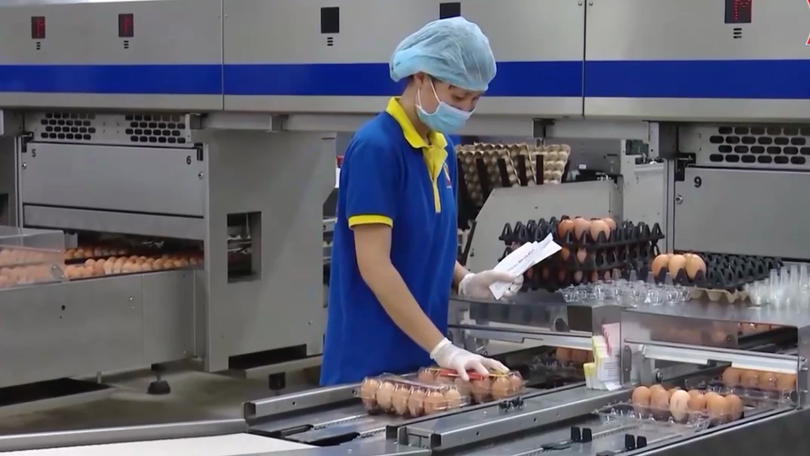 Phát huy thế mạnh nông nghiệp tại địa phương | Nông nghiệp và Môi trường | 06/09/2026