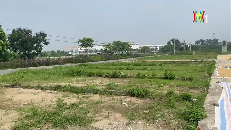 Đất đấu giá hạ nhiệt, thị trường đất nền sẽ minh bạch