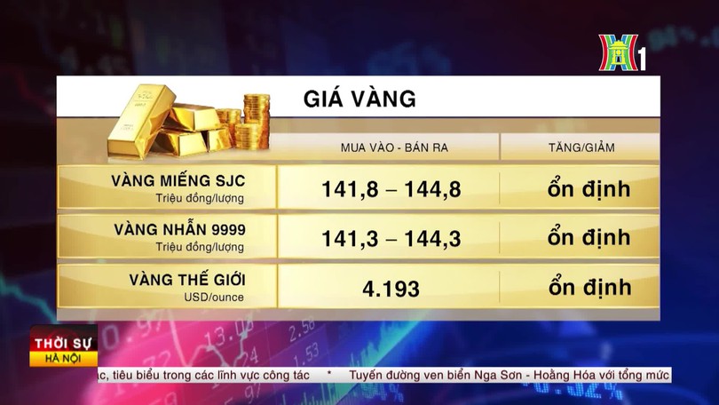 Tổng quan thị trường sáng ngày 11/10