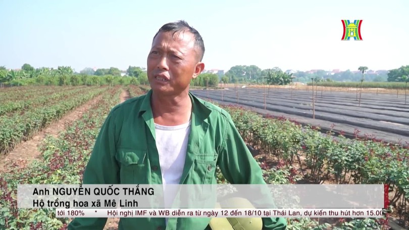 Nông thôn Hà Nội đang cần vốn đầu tư cho sản xuất