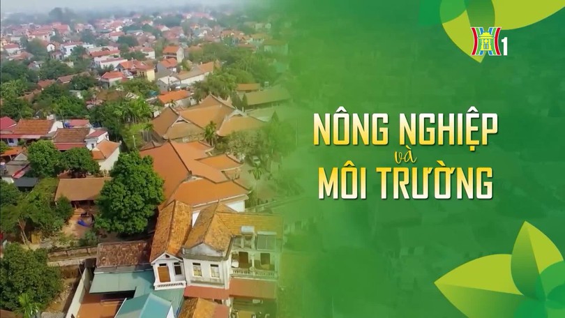 Động lực mới cho kinh tế nông thôn | Nông nghiệp và Môi trường | 11/10/2026