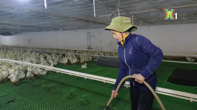 Giảm tác động môi trường trong sản xuất nông nghiệp  | Sản xuất xanh - Năng lượng sạch | 10/10/2026