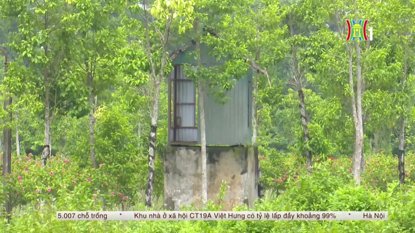 Bản tin Nhà đất và đầu tư | 12/10/2026
