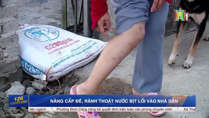 Nâng cấp đê, rãnh thoát nước bịt lối vào nhà dân