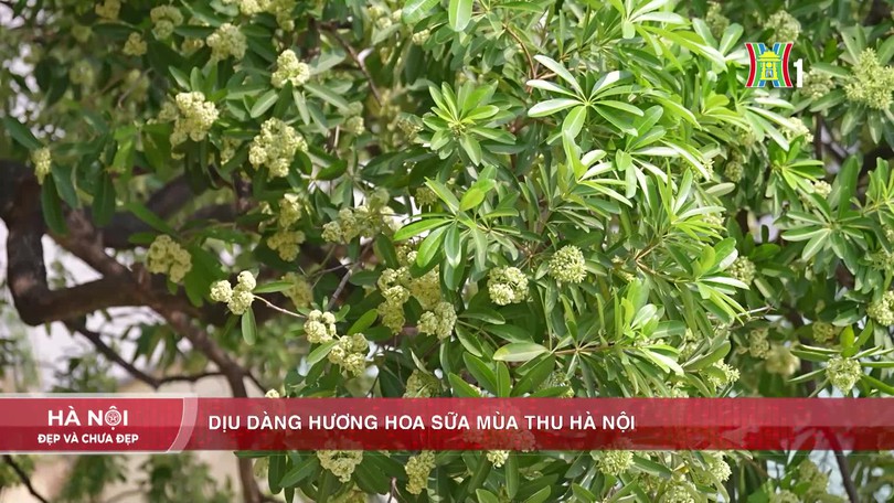 Hà Nội đẹp và chưa đẹp | 17/10/2026