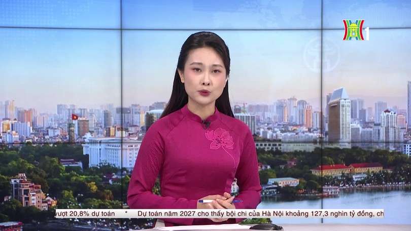 Khói mù do cháy rừng bao trùm một phần Indonesia
